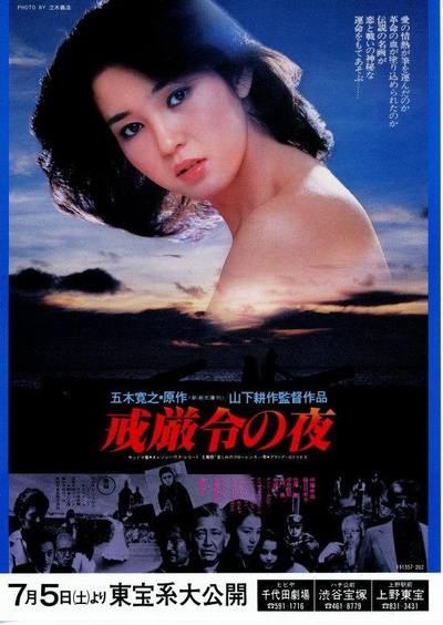 戒严令之夜的海报-正式海报