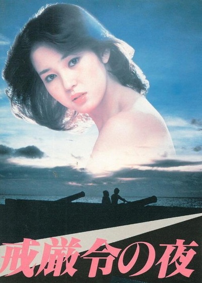 戒严令之夜的海报-其他海报