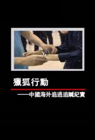凤凰大视野：猎狐行动——中国海外追逃追赃纪实的海报-正式海报