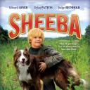 Sheeba