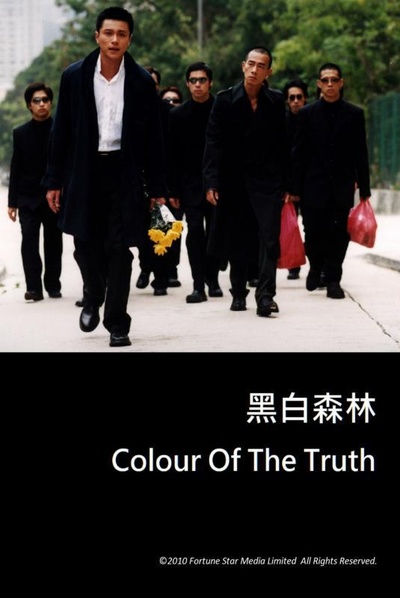 黑白森林的海报-正式海报
