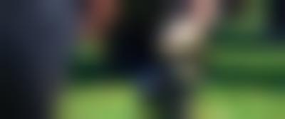 疯狂动物城剧照的剧照