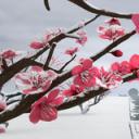 小门神剧照
