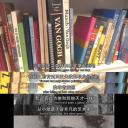至爱梵高：不可能之梦剧照