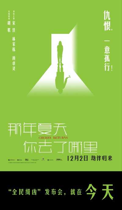那年夏天你去了哪里的海报-其他海报 中国大陆