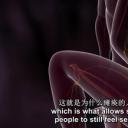 情侣性爱指南剧照