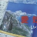 愛奴人形 い・か・せ・て剧照