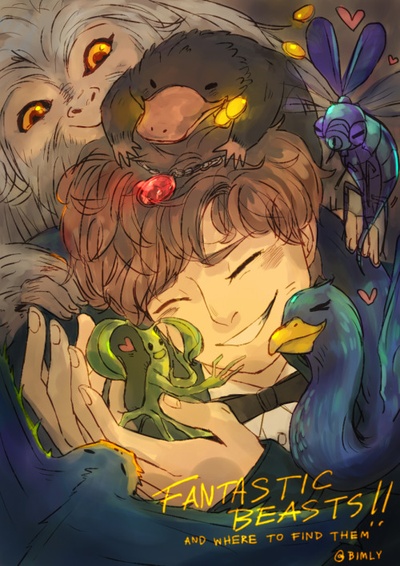 神奇动物在哪里的海报-其他海报