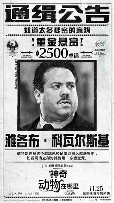 神奇动物在哪里的海报-角色海报 中国大陆
