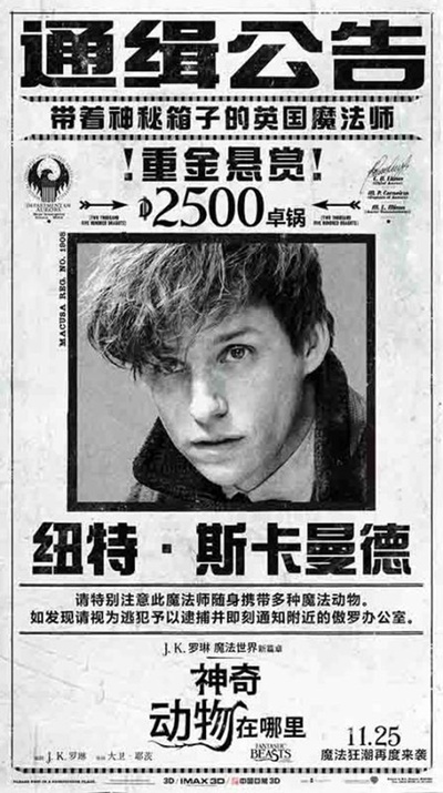 神奇动物在哪里的海报-角色海报 中国大陆