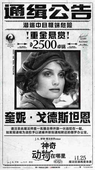 神奇动物在哪里的海报-角色海报 中国大陆