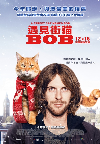 流浪猫鲍勃的海报-正式海报 台湾