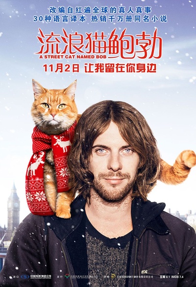 流浪猫鲍勃的海报-正式海报 中国大陆