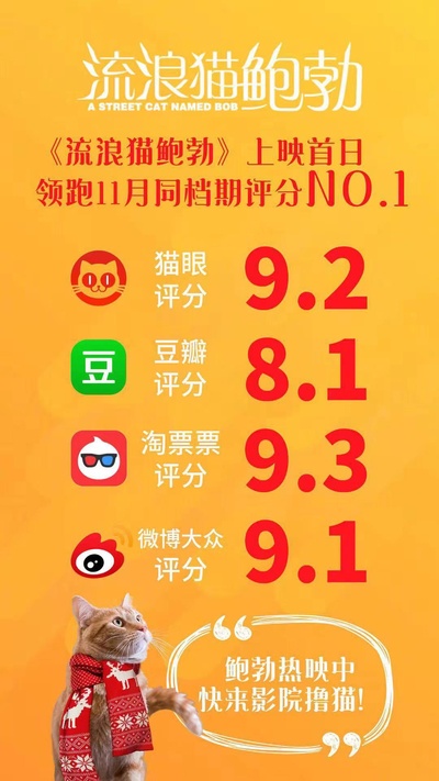 流浪猫鲍勃的海报-其他海报 中国大陆