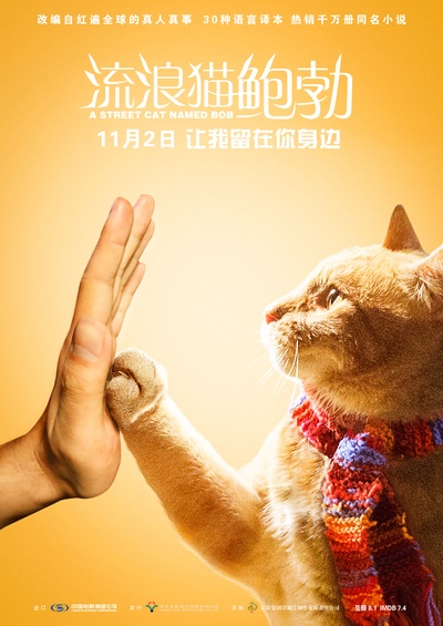 流浪猫鲍勃的海报-预告海报 中国大陆