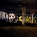 它在身后剧照