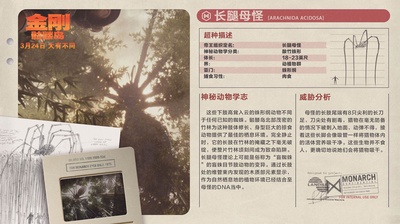 金刚：骷髅岛的海报-其他海报 中国大陆