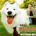 犬饲先生养狗记剧照