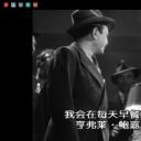 公众之敌：黑帮电影的黄金时代剧照