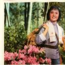 杜鹃山剧照