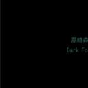 黑暗森林剧照