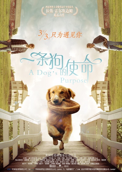 一条狗的使命的海报-正式海报 中国大陆