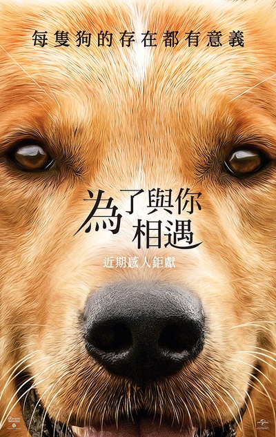 一条狗的使命的海报-预告海报 台湾