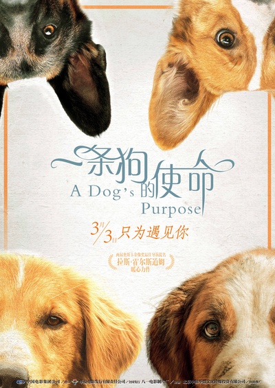 一条狗的使命的海报-正式海报 中国大陆