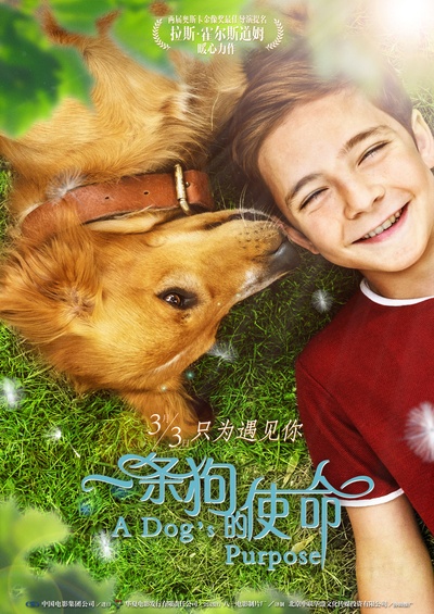 一条狗的使命的海报-正式海报 中国大陆