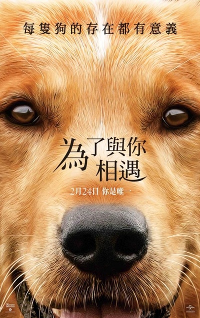 一条狗的使命的海报-正式海报 台湾