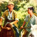 平原游击队剧照