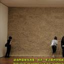奥拉维尔·埃利亚松：光镜幻影剧照