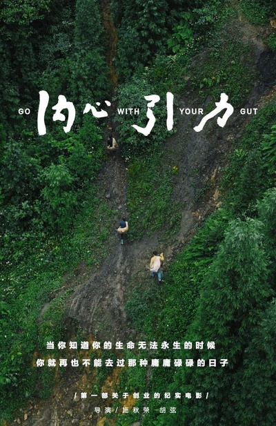 内心引力的海报-正式海报