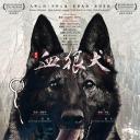 血狼犬