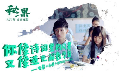 秘果的海报-其他海报 中国大陆