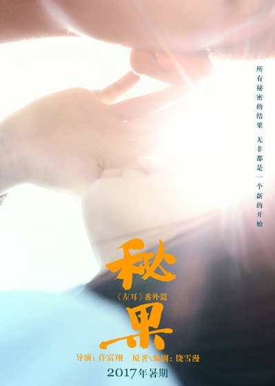 秘果的海报-预告海报 中国大陆