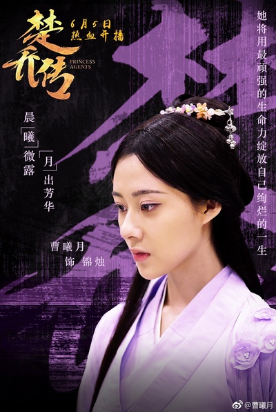 楚乔传的海报-角色海报 中国大陆