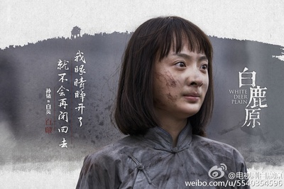 白鹿原的海报-角色海报