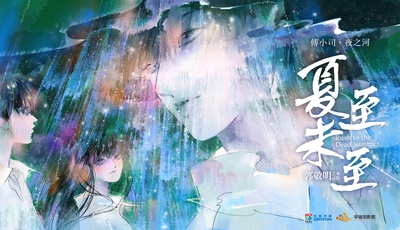 夏至未至的海报-其他海报