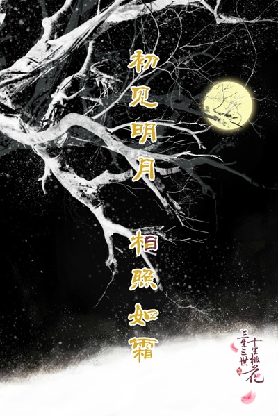 三生三世十里桃花的海报-其他海报