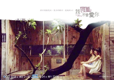 我可能不会爱你的海报-预告海报