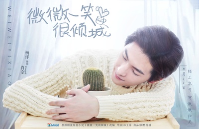 微微一笑很倾城的海报-正式海报 中国大陆