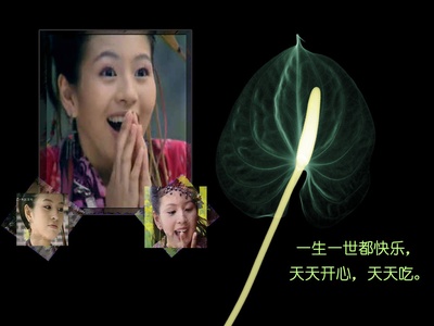 仙剑奇侠传的海报-角色海报 中国