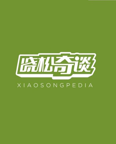晓松奇谈的海报-正式海报 中国大陆