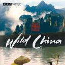 美丽中国