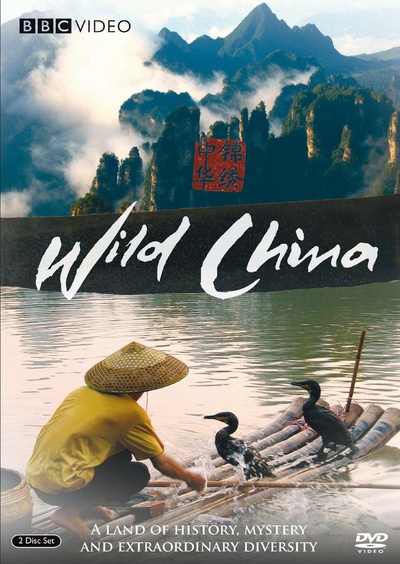 美丽中国的海报-正式海报