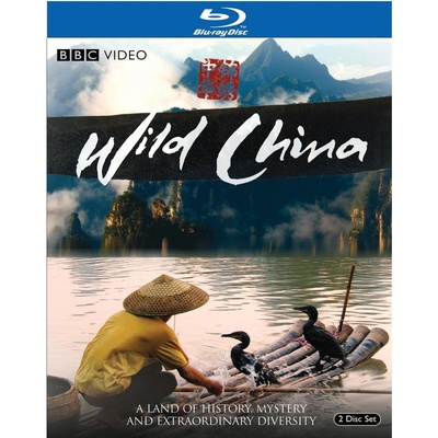 美丽中国的海报-其他海报