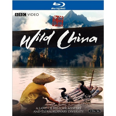 美丽中国的海报-其他海报