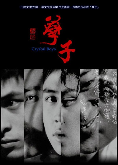 孽子的海报-正式海报