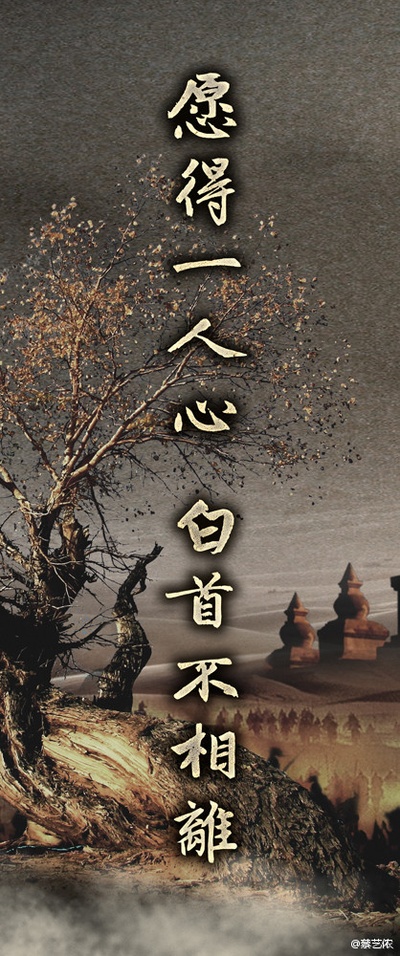 风中奇缘的海报-其他海报